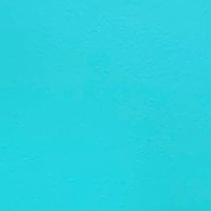 Meet your Posher, Faith